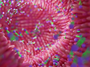 Vaginal and UTI conditions often are driven by chronic dysbiosis.