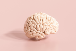 Support Brain Health As You Age 1 Your lifestyle choices can affect how well your brain functions!