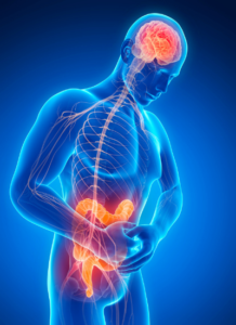 Did you know, your gut health has a direct impact on your mood and brain health?  Fixing your unhealthy gut can be a fast track to better health!