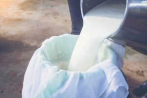Raw milk is still the wonderful, nutritious food it always was - just much more difficult to find.