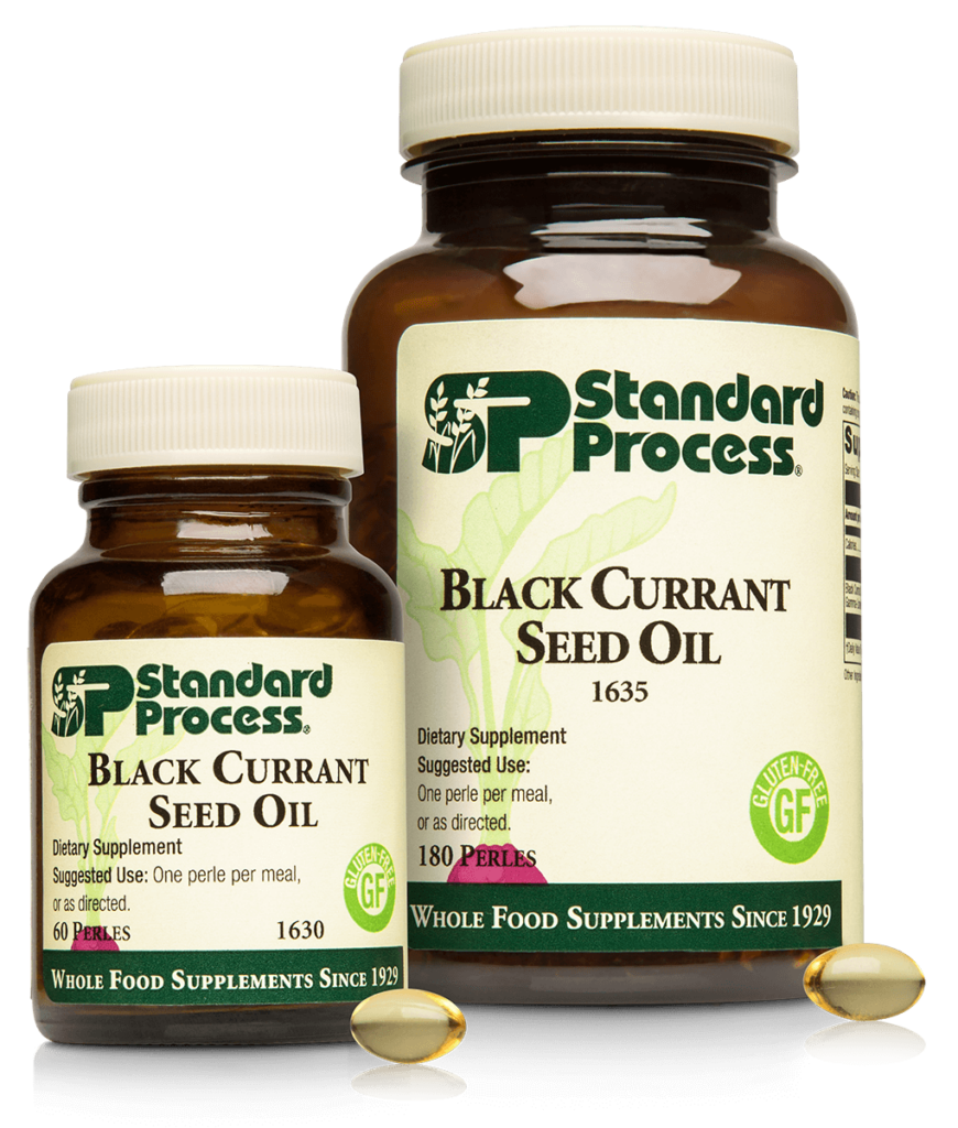 1630-1635-Black-Currant-Seed-Oil-Family.png 1630-1635-Black-Currant-Seed-Oil-Family.png