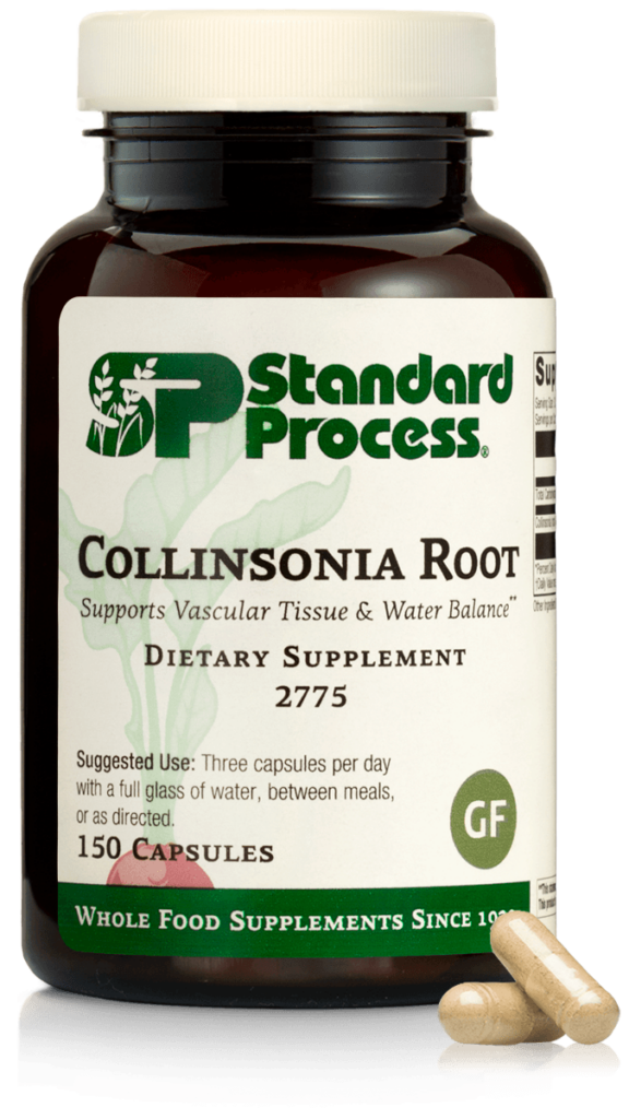 2775-Collinsonia-Root-Capsule-Front.png