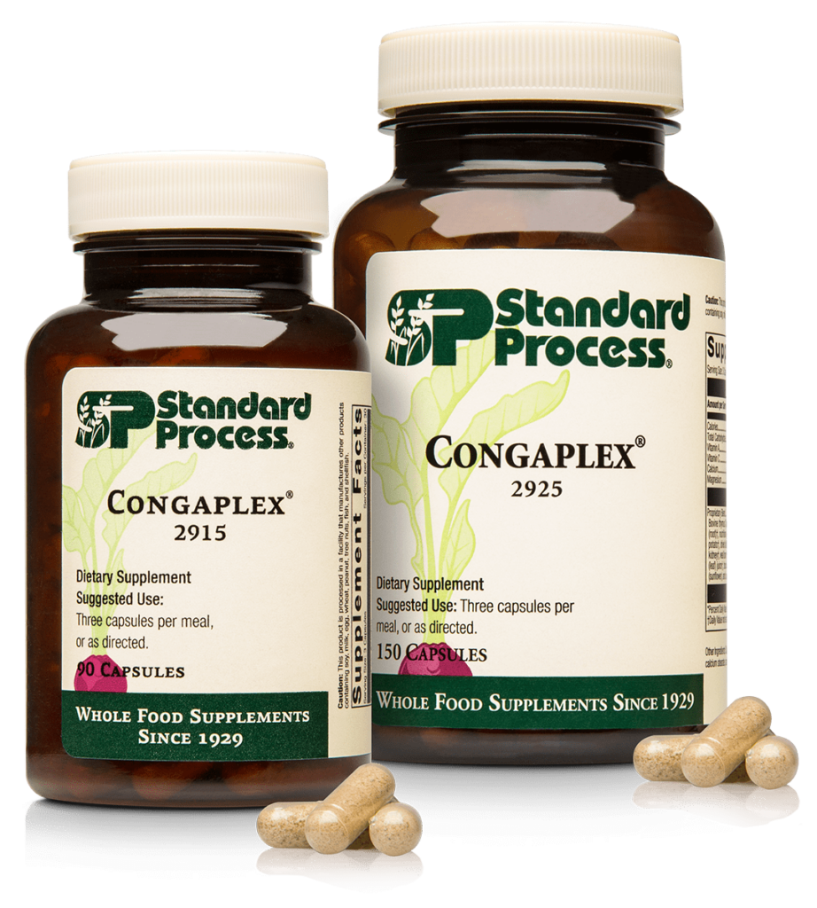 2915-2925-Congaplex-Family.png 2915-2925-Congaplex-Family.png