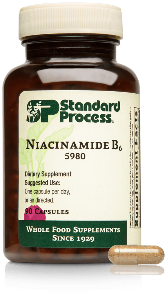 5980-Niacinamide-B6-Bottle-Capsule.png 5980-Niacinamide-B6-Bottle-Capsule.png