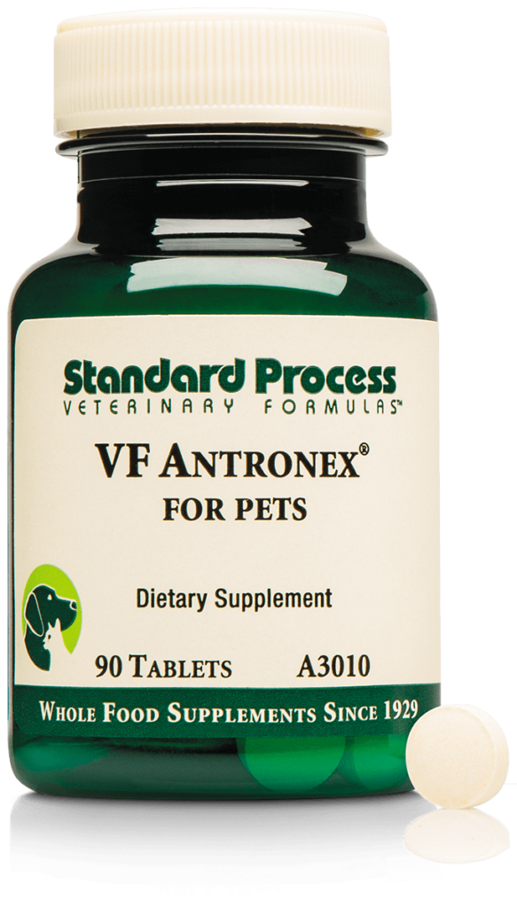 A3010-VF-Antronex-for-Pets-Bottle-Tablet.png A3010-VF-Antronex-for-Pets-Bottle-Tablet.png