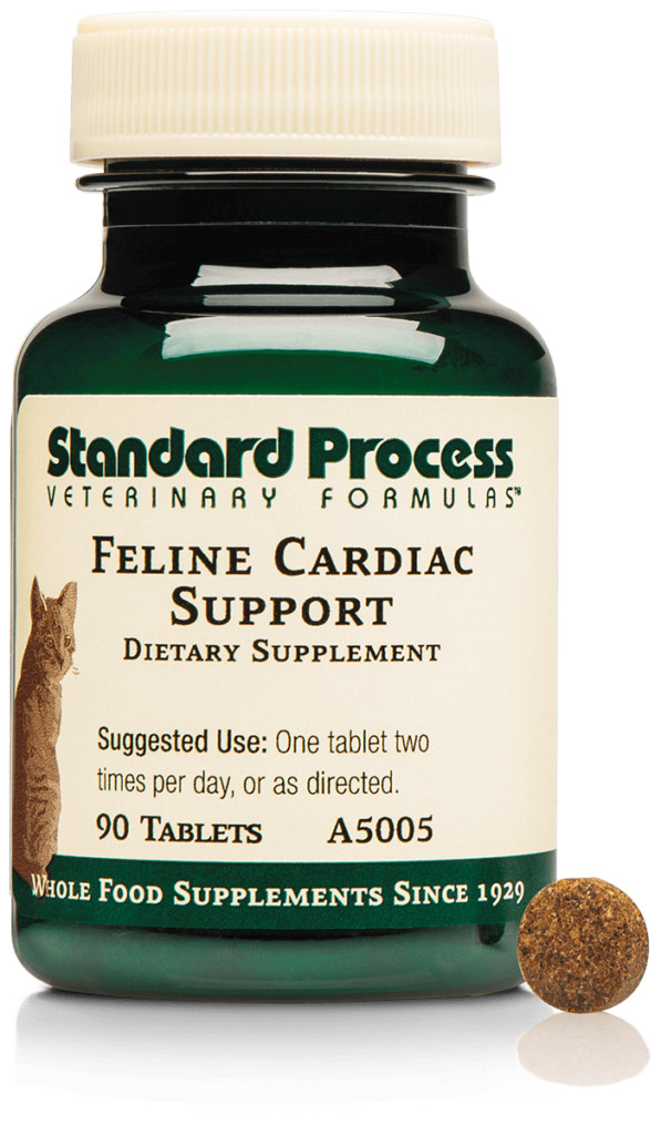 A5005-Feline-Cardiac-Support-Bottle-Tablet.png A5005-Feline-Cardiac-Support-Bottle-Tablet.png