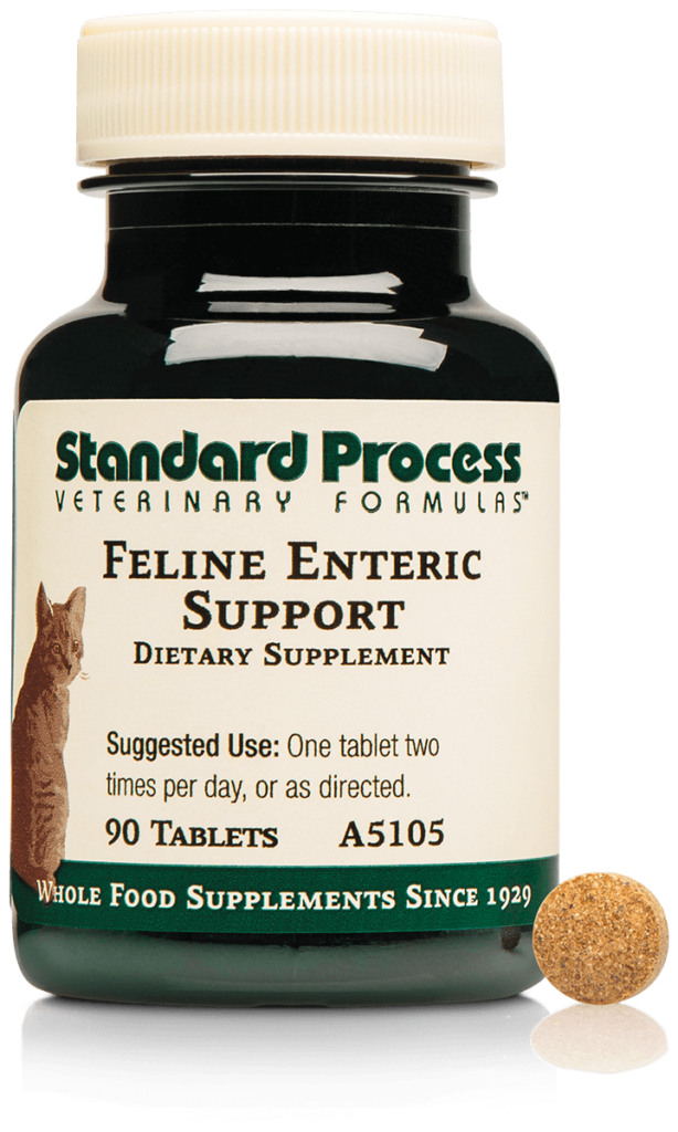 A5105-Feline-Enteric-Support-Bottle-Tablet.png