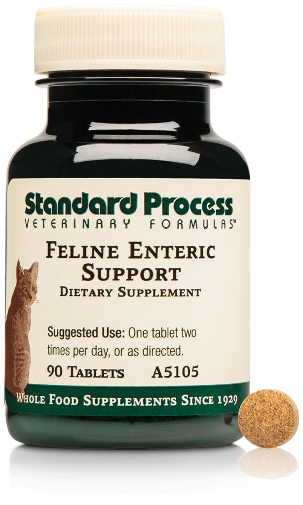 A5105-Feline-Enteric-Support-Bottle-Tablet.png A5105-Feline-Enteric-Support-Bottle-Tablet.png