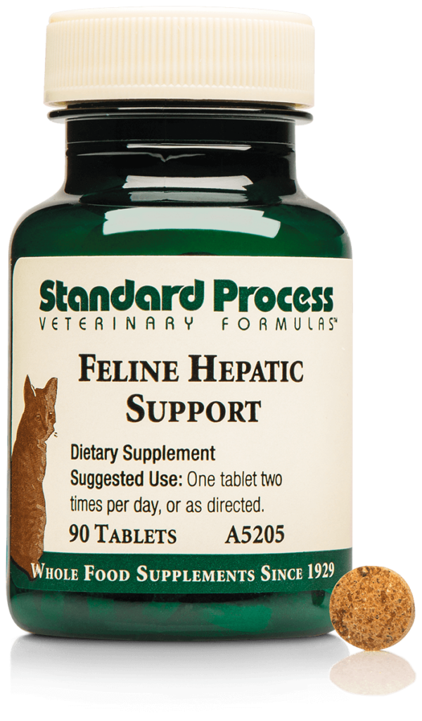 A5205-Feline-Hepatic-Support-Bottle-Tablet.png A5205-Feline-Hepatic-Support-Bottle-Tablet.png