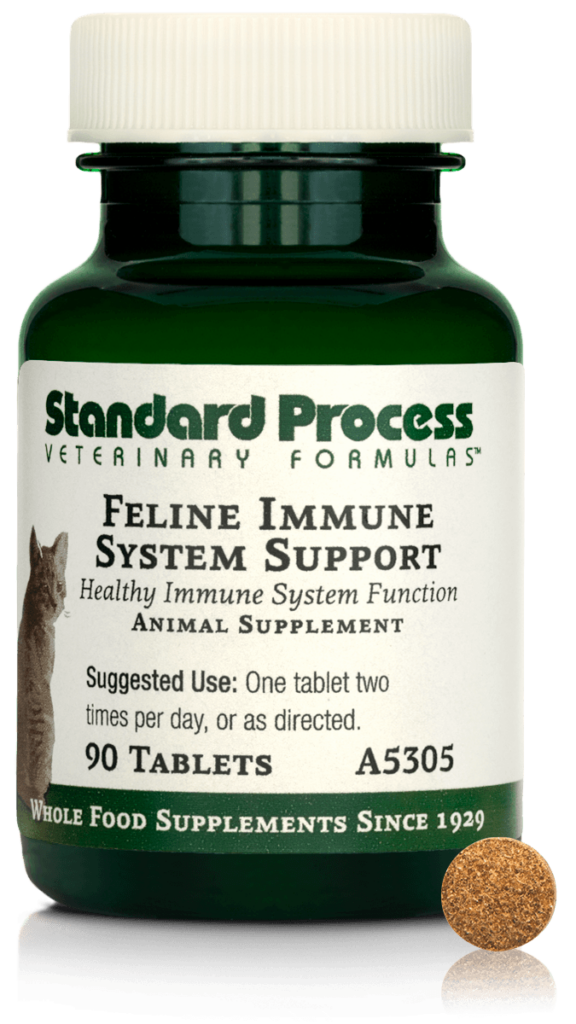 A5305-Feline-Immune-System-Support-Tablet-Front.png