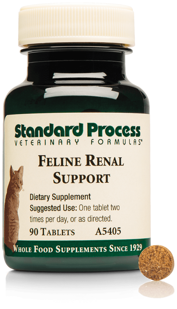 A5405-Feline-Renal-Support-Bottle-Tablet.png