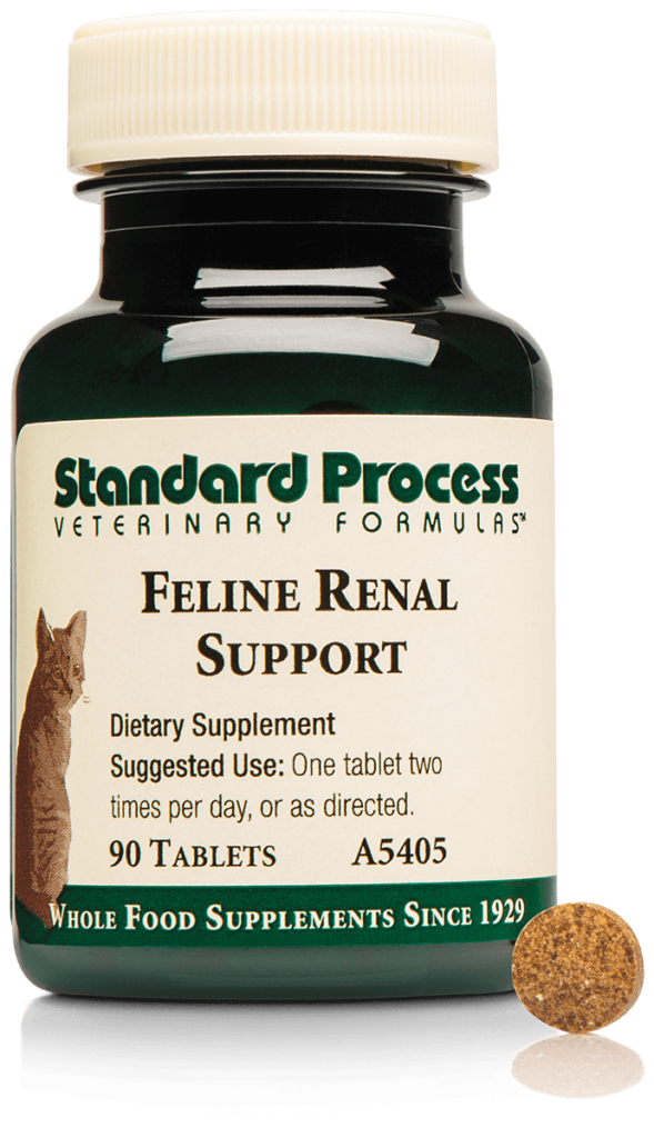 A5405-Feline-Renal-Support-Bottle-Tablet.png A5405-Feline-Renal-Support-Bottle-Tablet.png