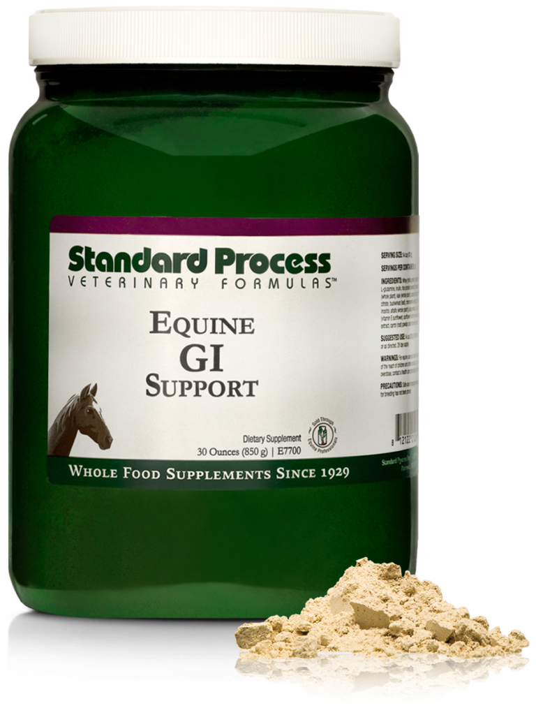 E7700-Equine-GI-Support-Powder-Front.png