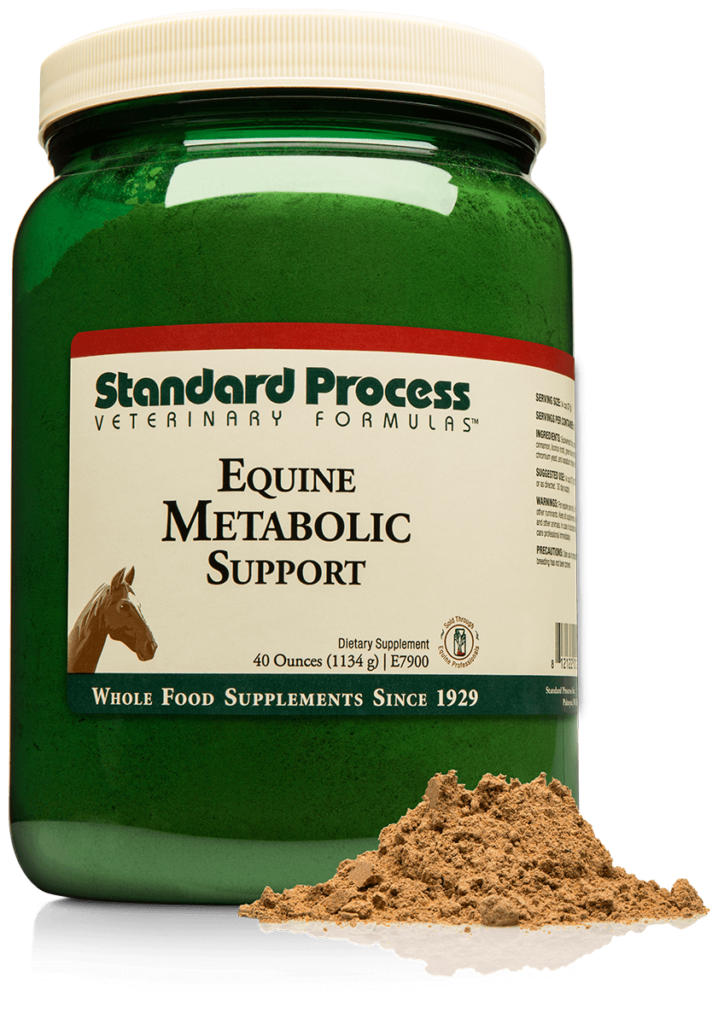 E7900-Equine-Metabolic-Support-Tub-Powder.png