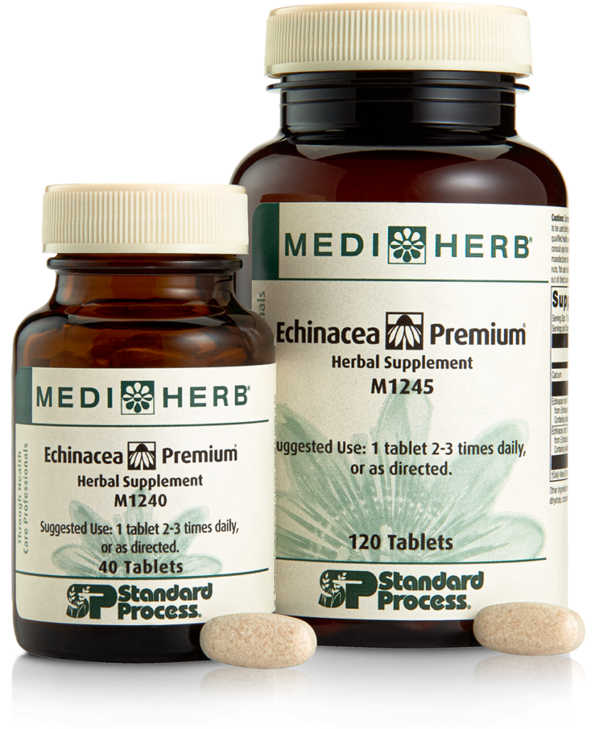 M1240-Echinacea-Premium-Bottle-Tablet-Family.png M1240-Echinacea-Premium-Bottle-Tablet-Family.png