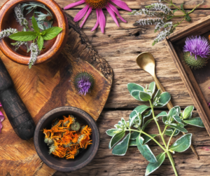 Do I need a Parasite Cleanse? 9 Nature gives us so many beautiful choices for herbal support!