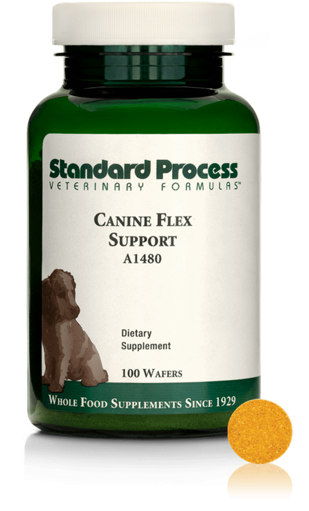 A1480-Canine-Flex-Support-Wafer-Front.png