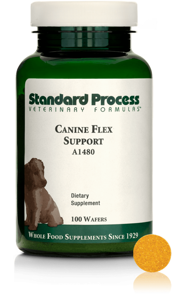 A1480-Canine-Flex-Support-Wafer-Front.png A1480-Canine-Flex-Support-Wafer-Front.png