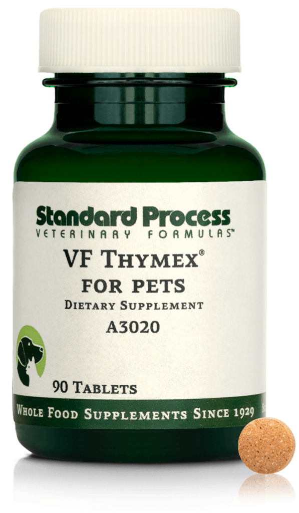 A3020-VF-Thymex-Tablet-Front.png A3020-VF-Thymex-Tablet-Front.png