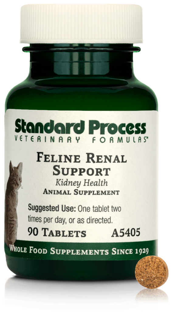 A5405-Feline-Renal-Support-Tablet-Front.png A5405-Feline-Renal-Support-Tablet-Front.png