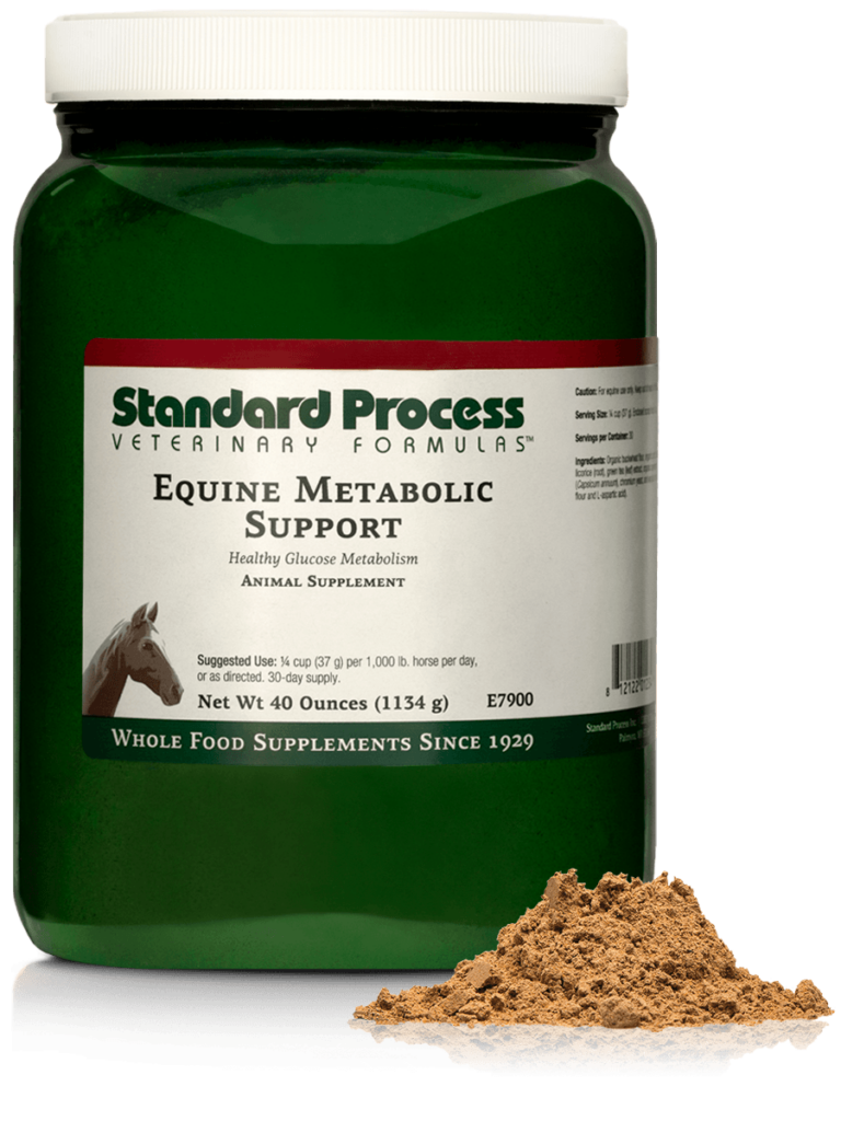 E7900-Equine-Metabolic-Support-Powder-Front.png