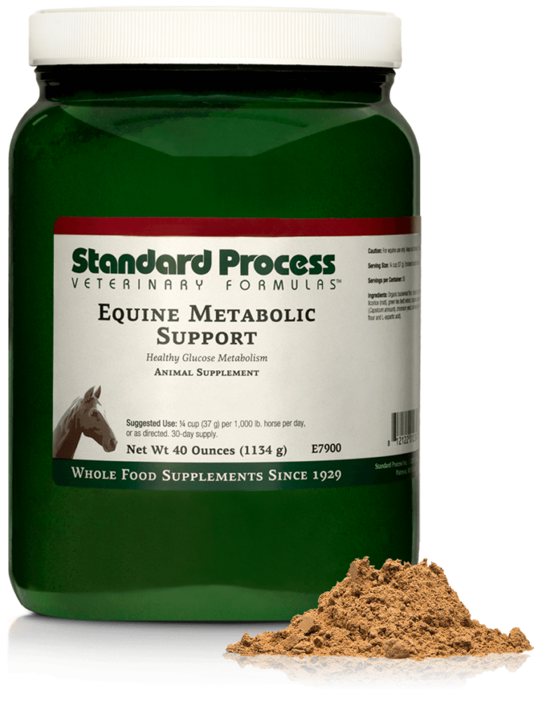 E7900-Equine-Metabolic-Support-Powder-Front.png E7900-Equine-Metabolic-Support-Powder-Front.png