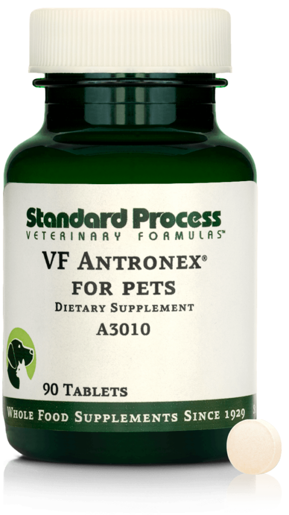 A3010-VF-Antronex-Tablet-Front.png A3010-VF-Antronex-Tablet-Front.png