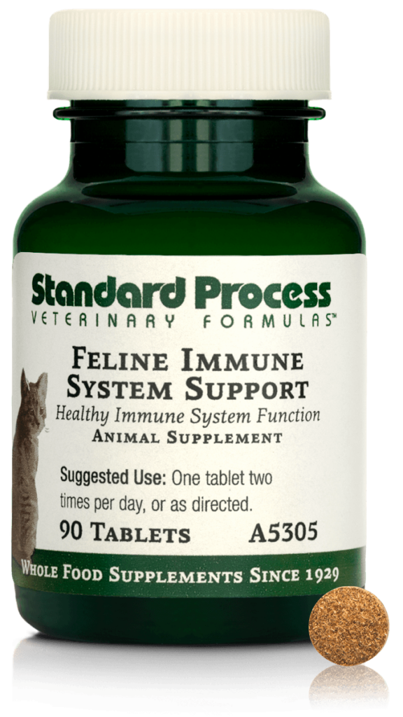 A5305-Feline-Immune-System-Support-Tablet-Front.png A5305-Feline-Immune-System-Support-Tablet-Front.png