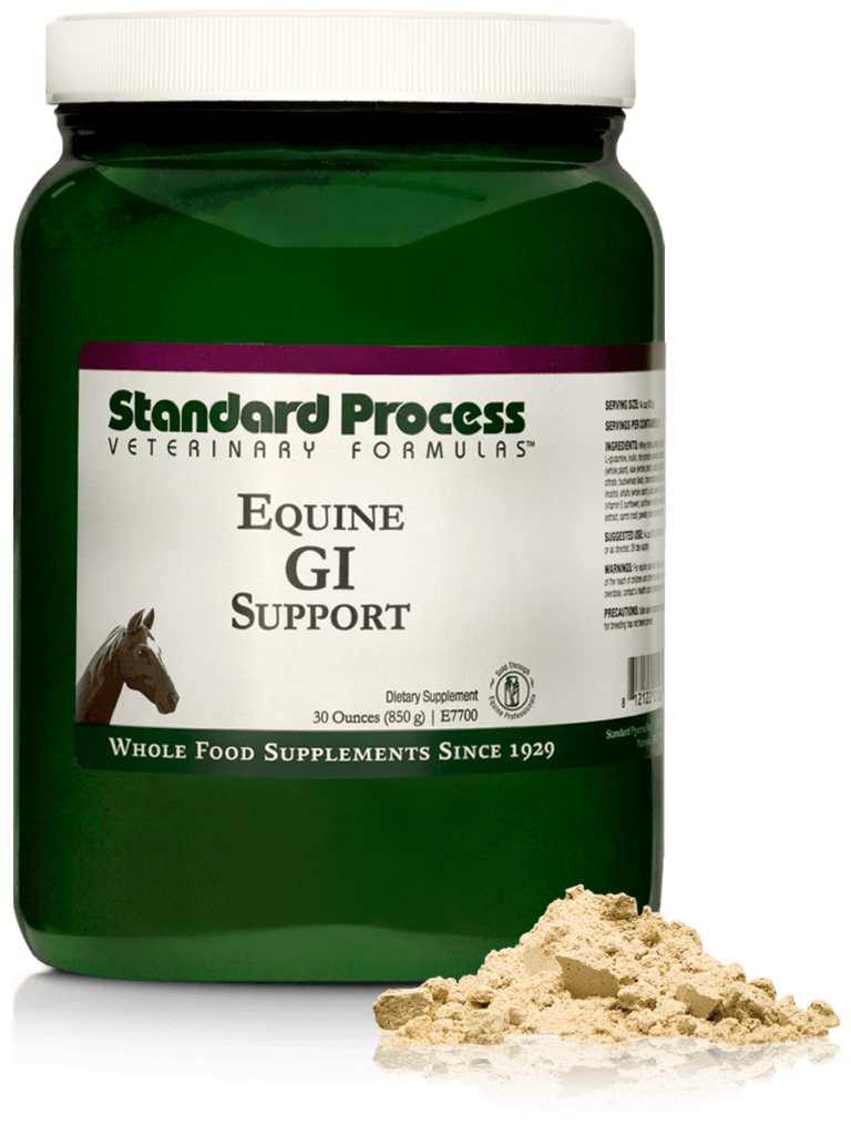 E7700-Equine-GI-Support-Powder-Front.png E7700-Equine-GI-Support-Powder-Front.png