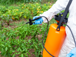 Pesticides sprayed on our food and around our homes are highly toxic to our gut bacteria, and can damage our immune system.