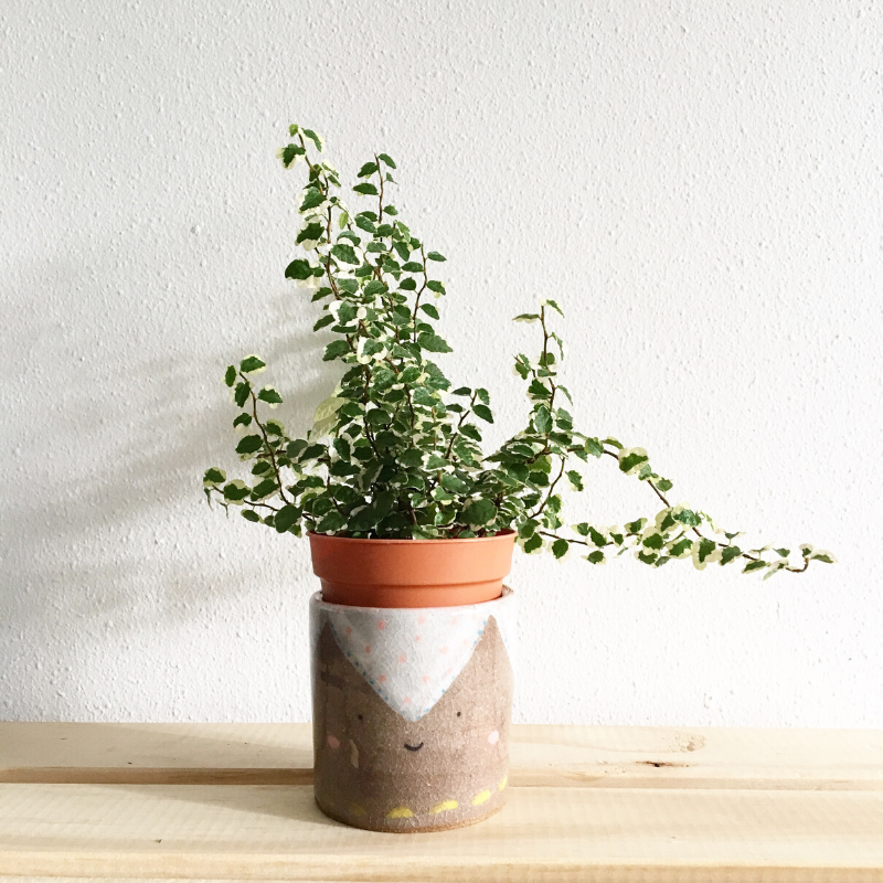 Neutral Plant Neutral Plant