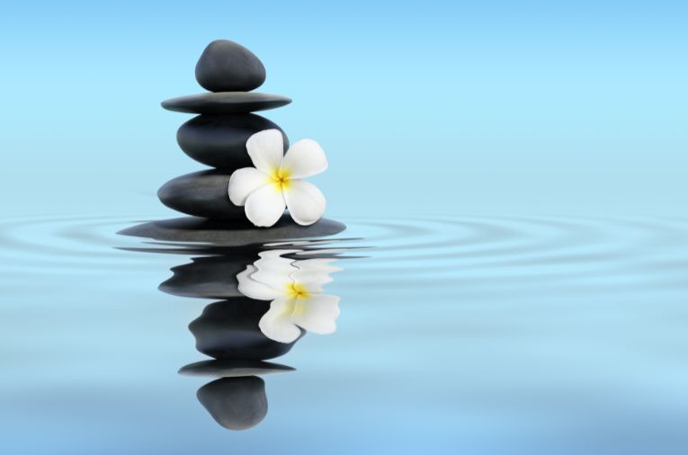 Progesterone is the forgotten sister of estrogen - the hormone that gives a sense of natural peace and calming.